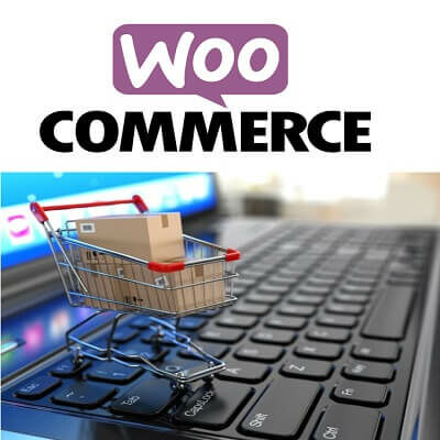 WordPress Training WooCoomerce Training Courses in Singapore e-Commerce [tag]