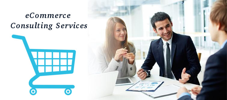, e-Commerce Consulting Services, Anchor Consulting