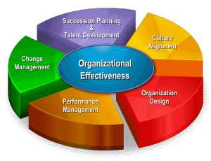, ORGANIZATIONAL EFFECTIVENESS, Anchor Training Courses &amp; Consulting Services
