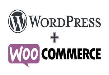 , WordPress Ecommerce Woocommerce Training Courses in Singapore, Anchor Biz IT