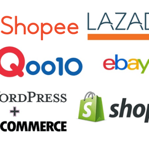 singapore online business ecommerce website lazada shopee qoo10 ebay wordpress woocommerce shopify workshop