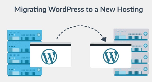 , WordPress Migration Service, Anchor Business &amp; IT Consulting, Digital Marketing &amp; Training